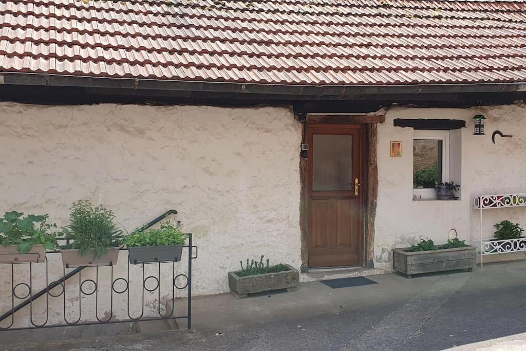 Villa Le Berger Du Salzbach Romanswiller Exterior foto