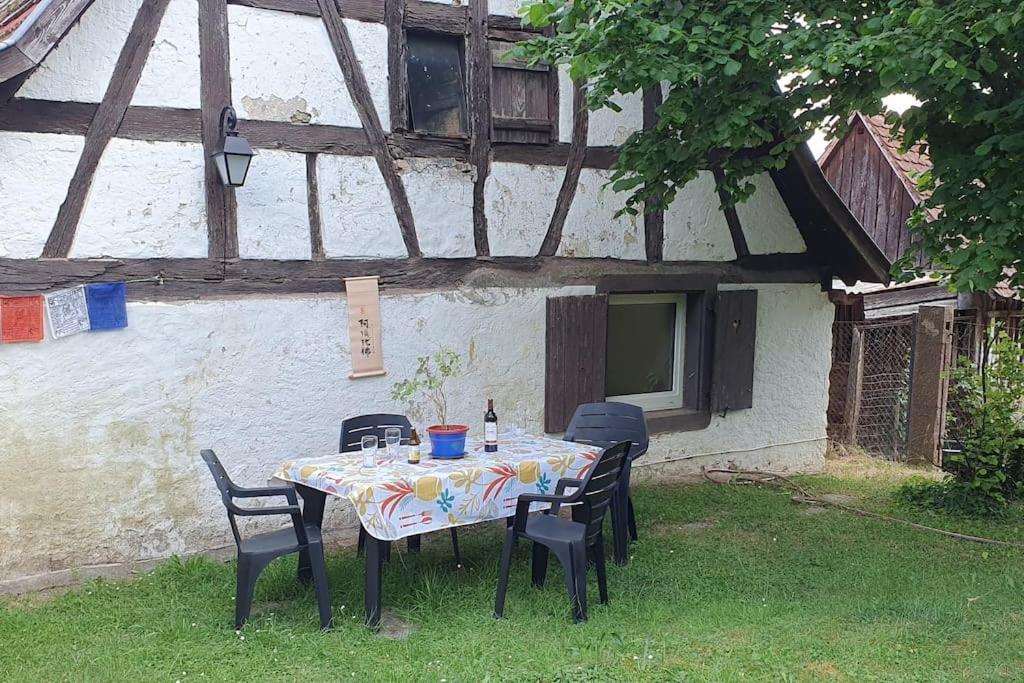 Villa Le Berger Du Salzbach Romanswiller Exterior foto